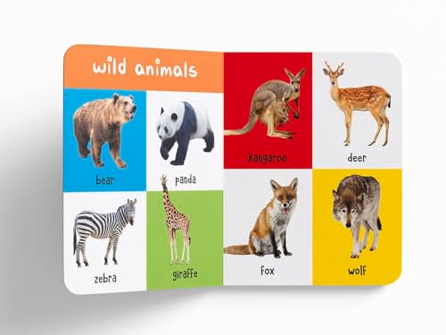 My First 100 Library: Boxset of 5 Early Learning Board Books for Kids | Learn First 100 Words, Numbers, Animals & Birds, Food We Eat, and Things That Move | Perfect for Babies, Toddlers, Preschool & H (Board book)