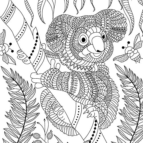 Mandala Colouring Book for Adults- Animal Kingdom (Hardcover)