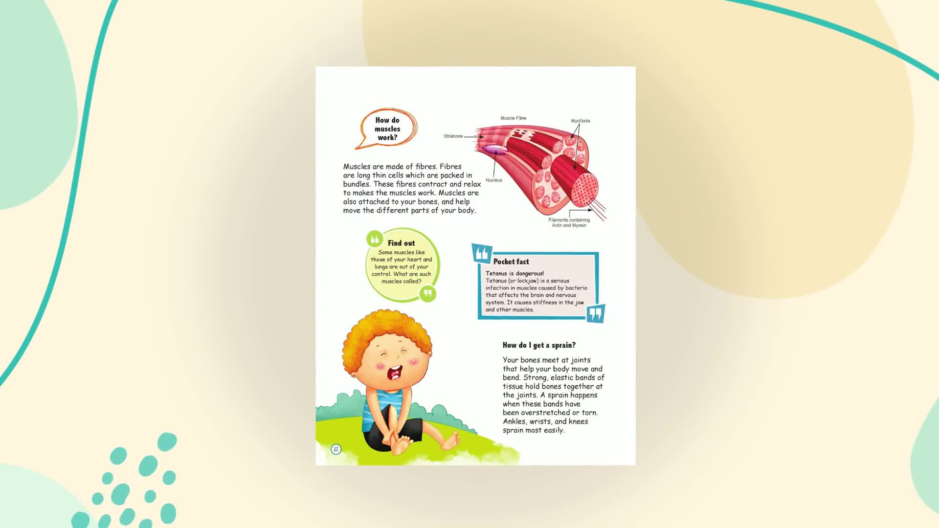 Encyclopedia: Amazing Questions & Answers Human Body (Product Bundle)