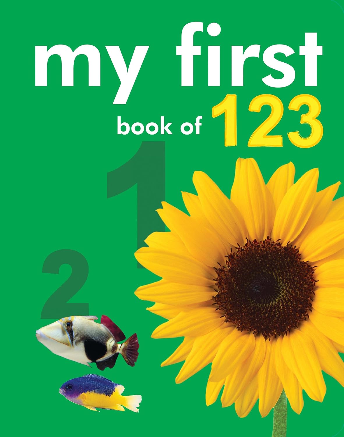 My First Book of 123 (First 3)
