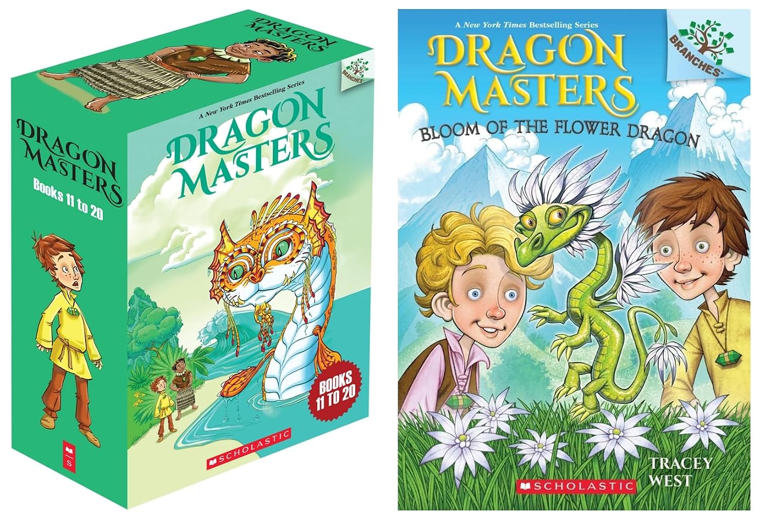 Dragon Masters Books 11 To 20 (A Branches Book) & Dragon Masters #21: Bloom of The Flower Dragon (A Branches Book) (Product Bundle)
