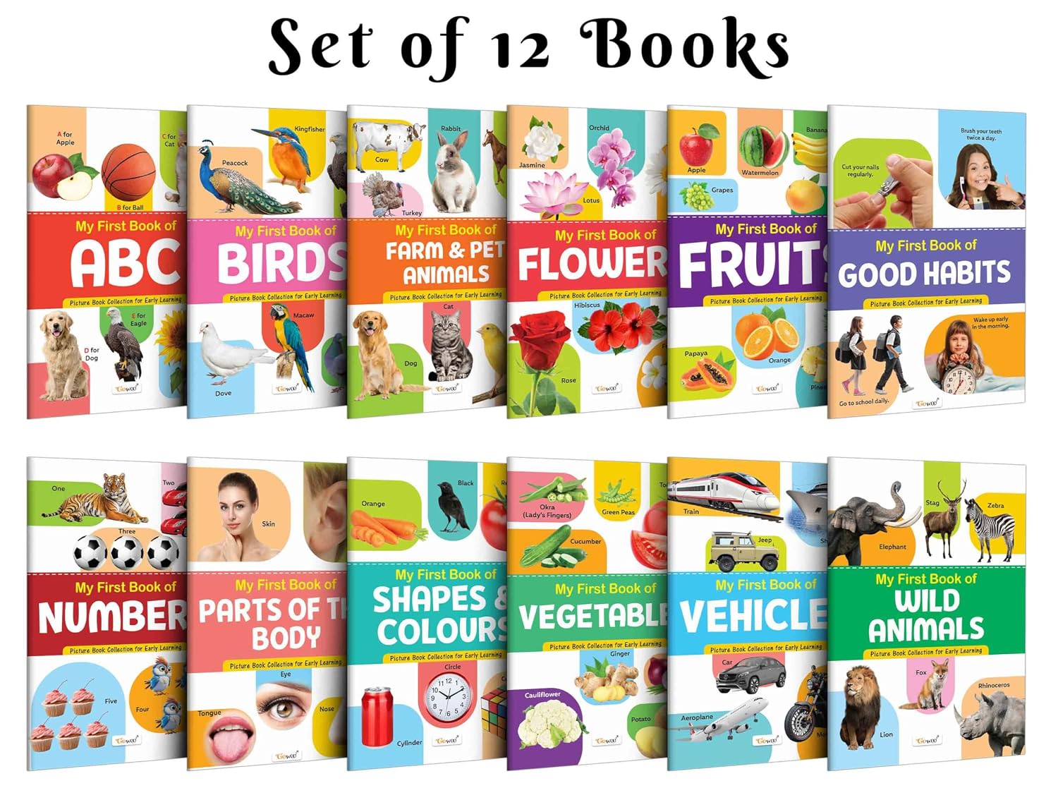My First Picture Book Collection For Early Learning : Learning book for kids, Educational picture books for toddlers, Collection With 12 Topics, birthday gifts for Kids (Cards)