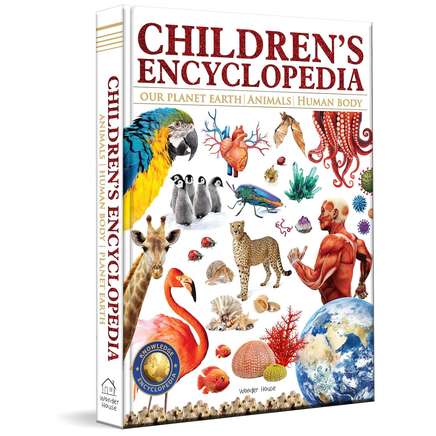 Children’s Encyclopedia - Our Planet Earth, Animals and Human Body: Animals, Human Body and Our Planet Earth (Hardcover)