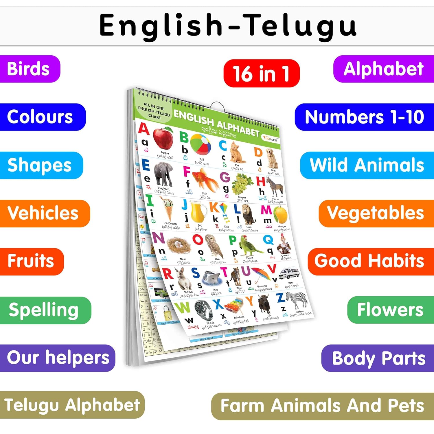 My First ALL IN ONE SPIRAL CHART ENGLISH-TELUGU : Learning Chart book for kids, Educational Chart for toddlers, Collection With 16 Topics, birthday gifts for Kids (Spiral-bound)