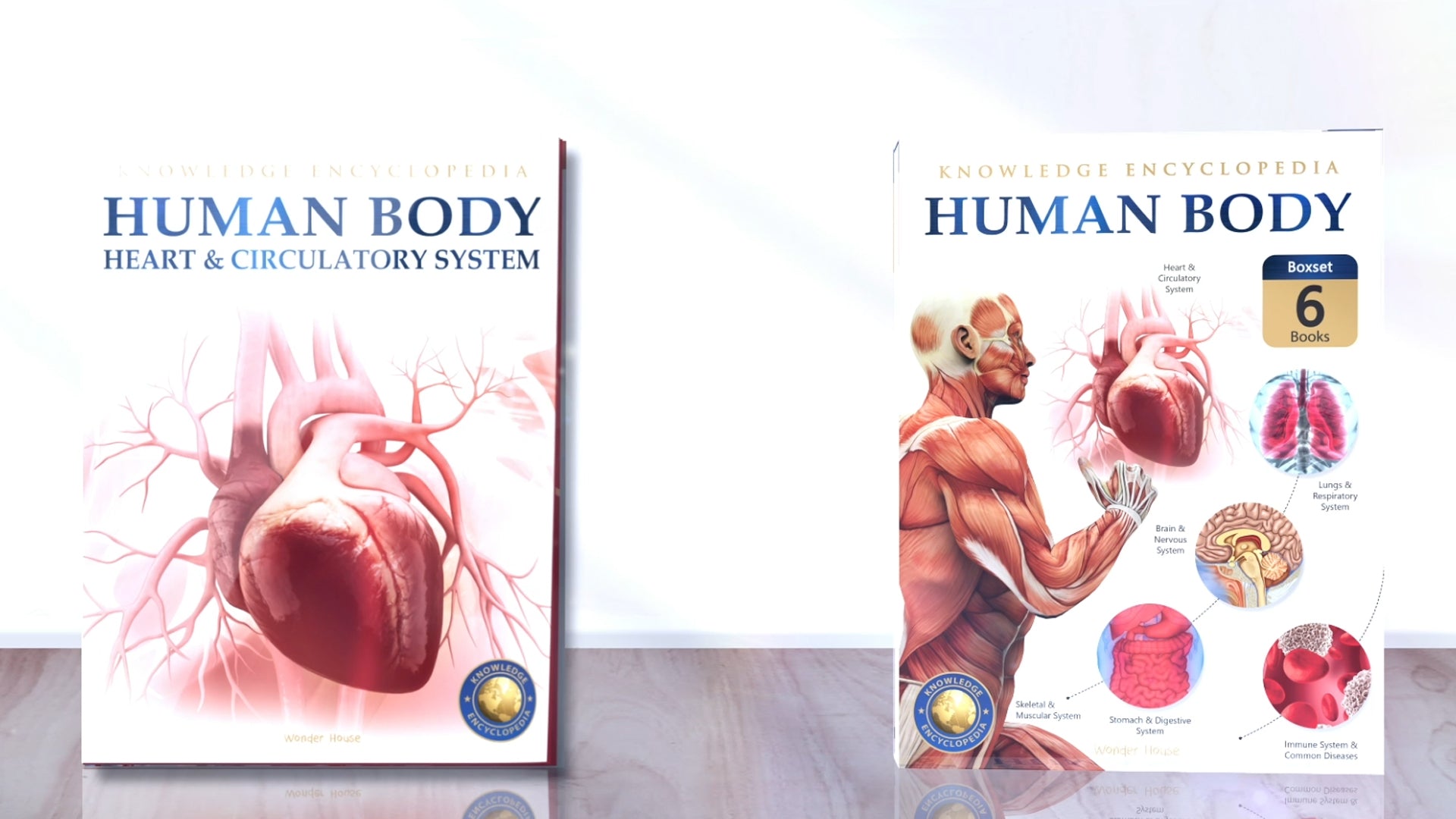 Human Body Box Set: Knowledge Encyclopedia For Children (Paperback)