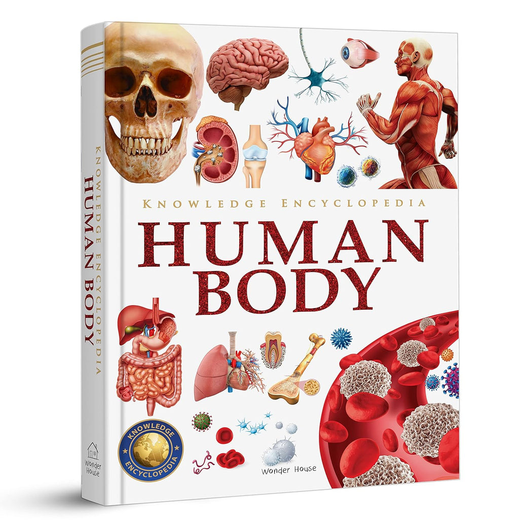 Knowledge Encyclopedia - Human Body (Hardcover)