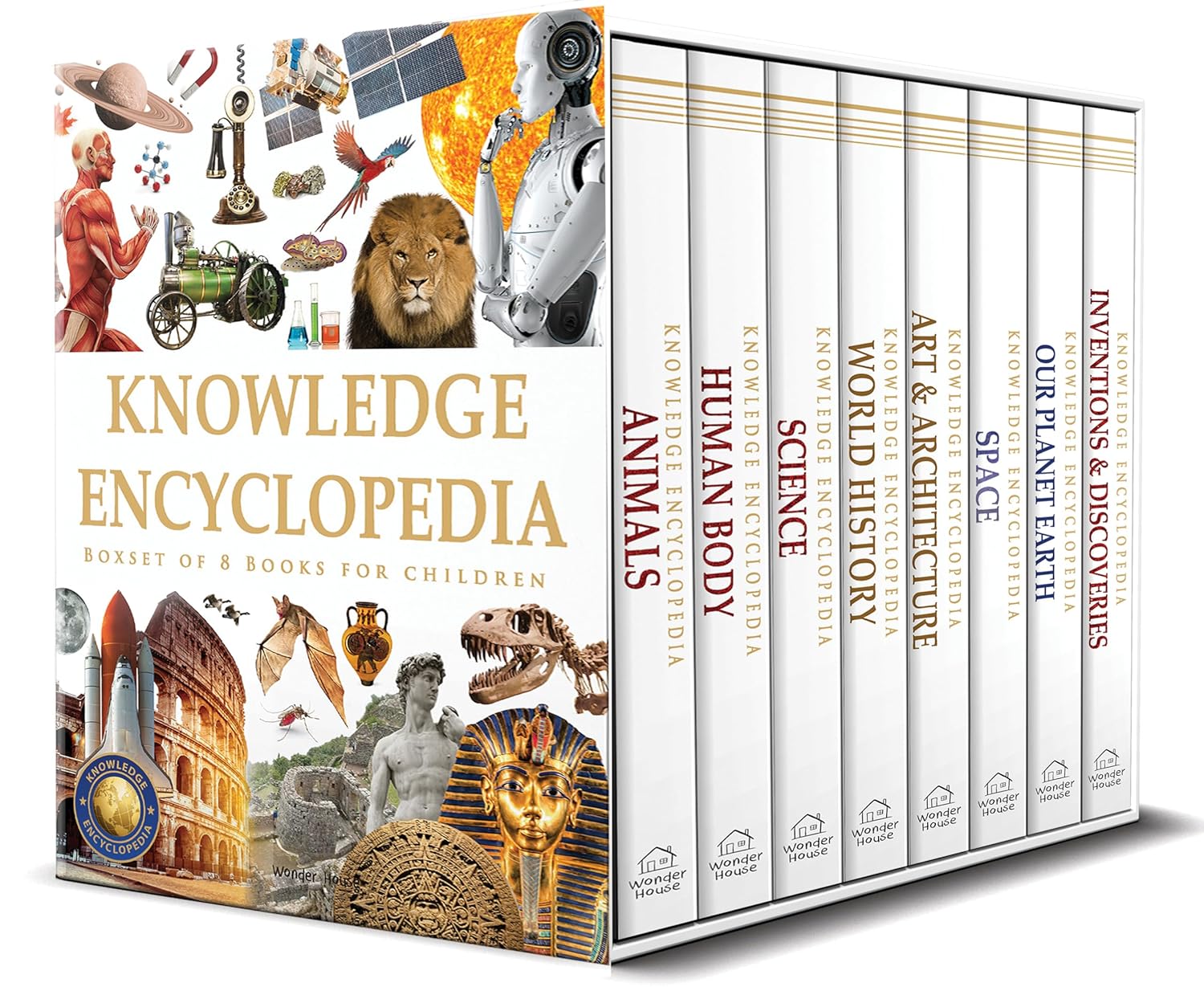 Knowledge Encyclopaedia Boxed Set 8 Paperback Books For Kids Age Group 10+ (Paperback)