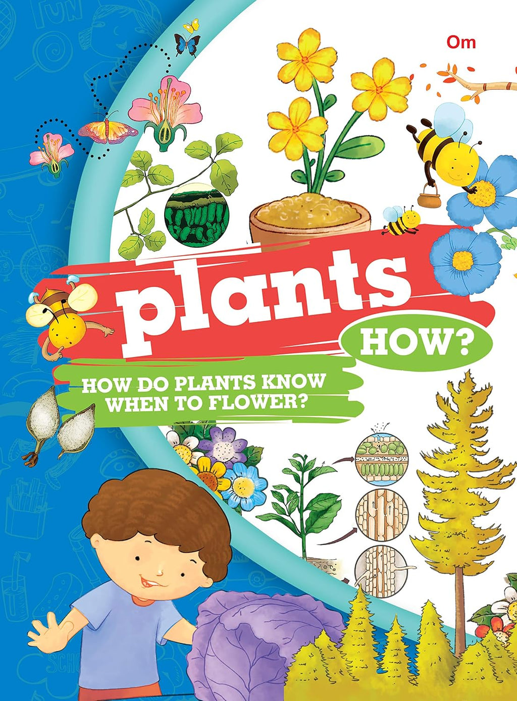 Encyclopedia: Plants How? (Questions and Answers) (Paperback)