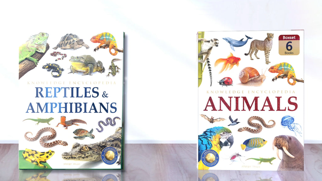 Animals - Collection of 6 Books : Knowledge Encyclopedia For Children (Box Set) (Paperback)