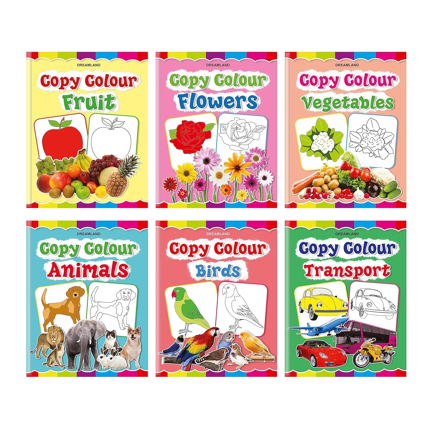 Set of 6 Copy Colour Books for Kids Age 3–5 Years | Animals, Birds, Flowers, Fruits, Transport, Vegetables | Fun Preschool Activity to Learn Colours & Object Names | Large Images & Thick Paper | Early (Paperback)