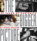 THE BIGGER PICTURE