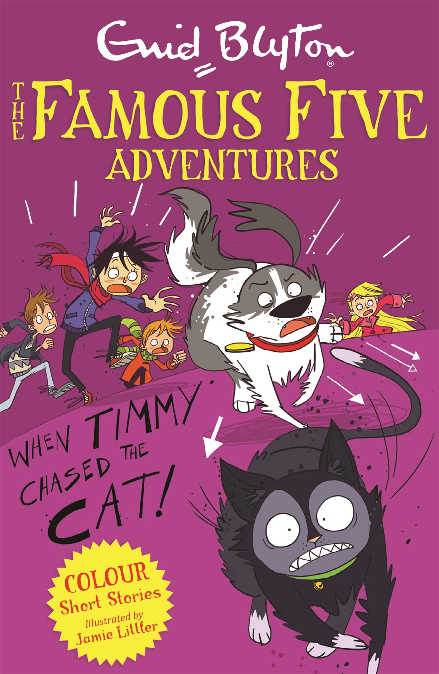 FAMOUS FIVE COLOUR READS: WHEN TIMMY CHASED THE CAT