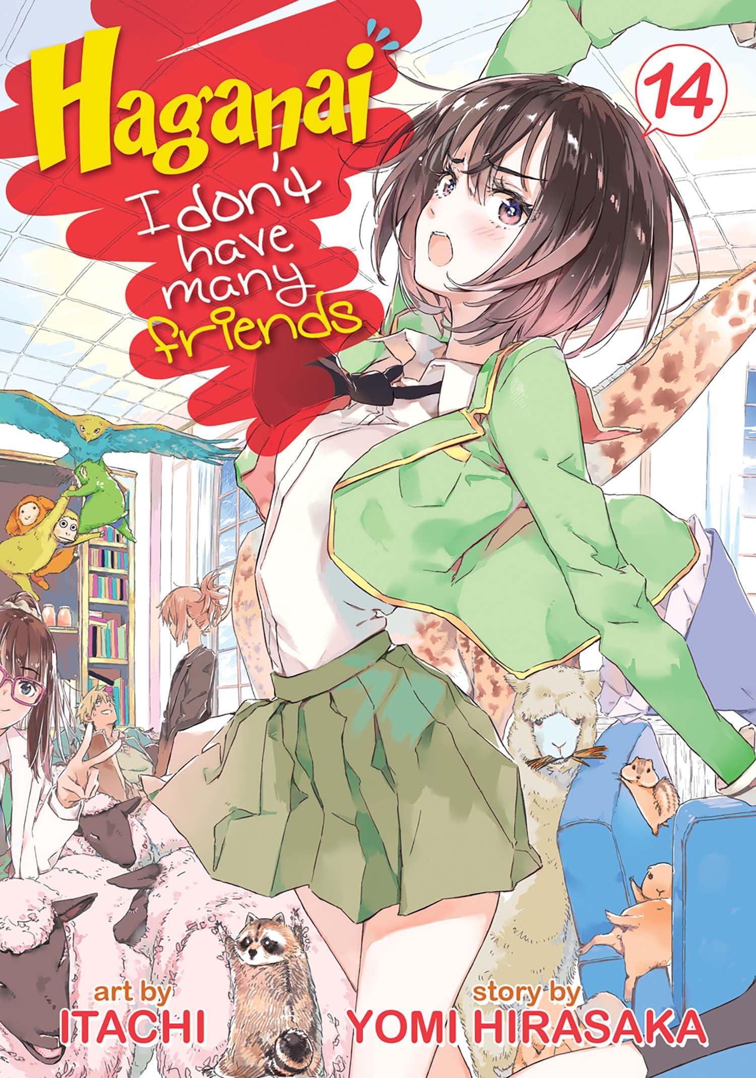 Haganai: I Don't have Many Friends Vol. 14 (Haganai: I Don't Have Many Friends, 14)
