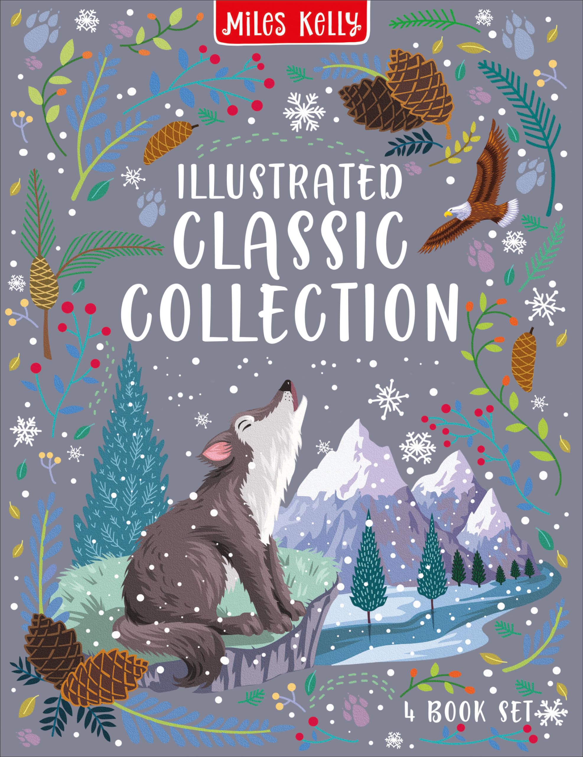 Illustrated Classic Collection Slipcase (Children's Classic)