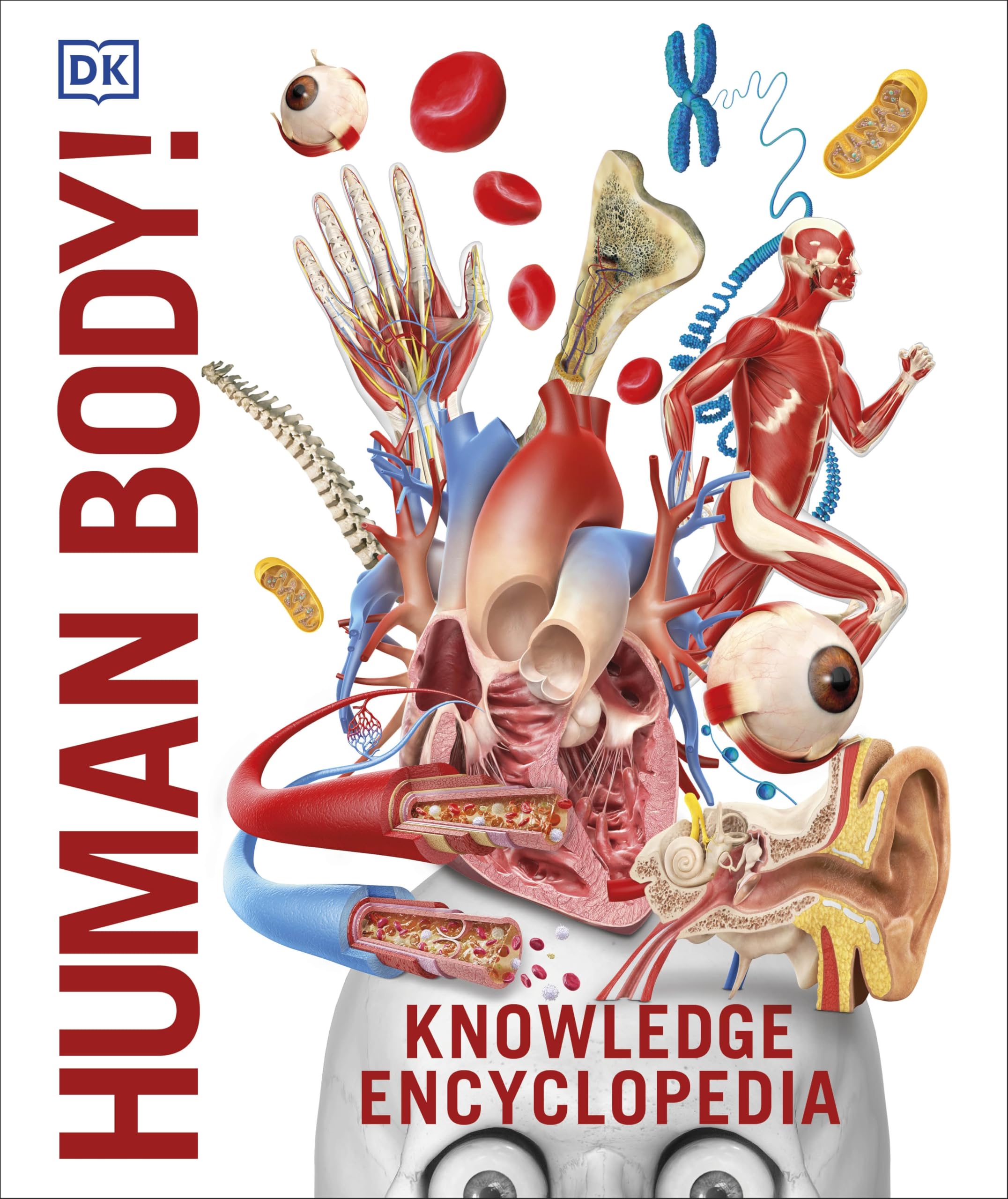 Knowledge Encyclopedia: Human Body!: Your Amazing Body As You've Never Seen It Before